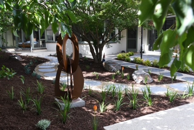 landscape design for beginners