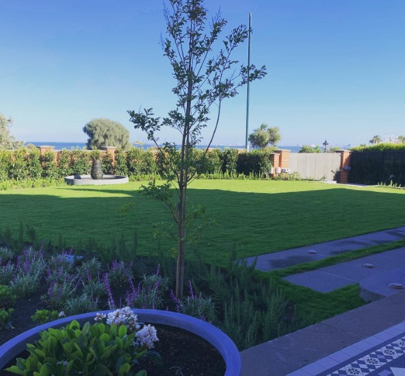 coastal garden