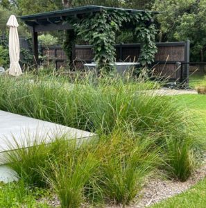 modern coastal garden