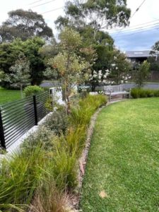 modern coastal garden