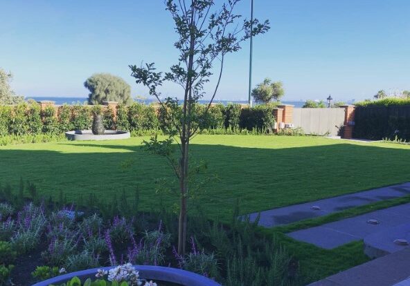 coastal garden