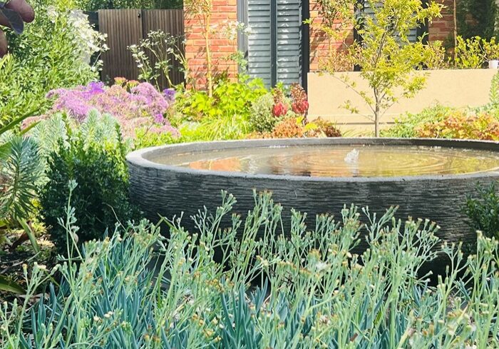 plant selection for your landscape