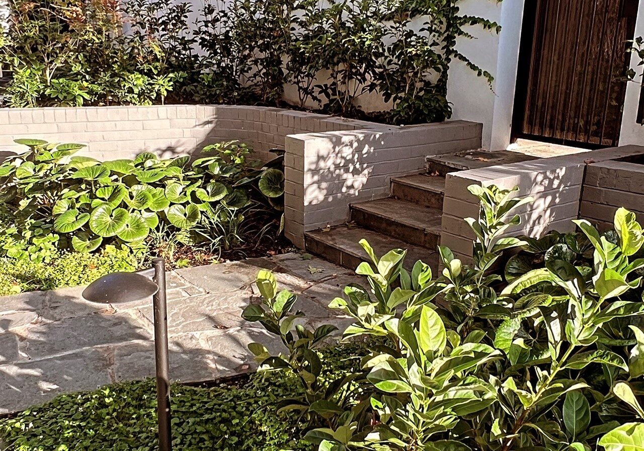 Modern garden in Malvern East