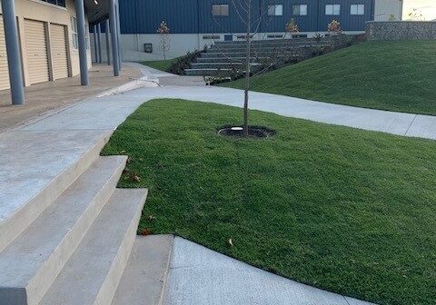 5 reasons to engage a landscape designer