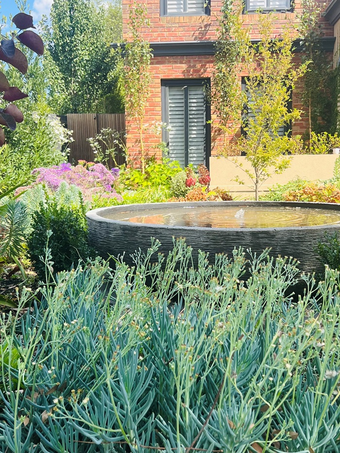 plant selection for your landscape