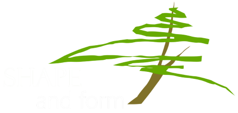 Shape And Form Logo